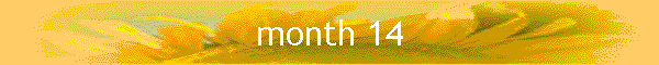 month 14