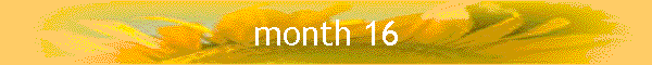 month 16