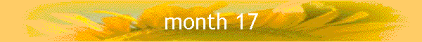 month 17