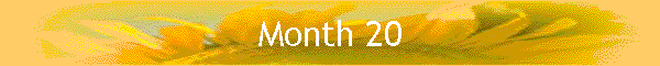 Month 20